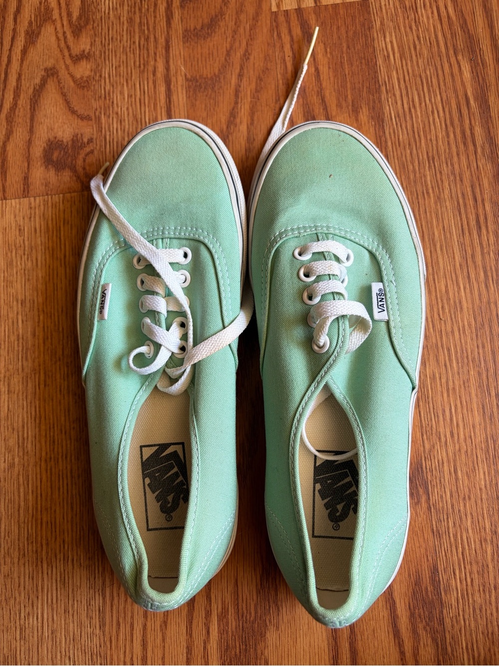 Vans Kids Canvas Sneakers in Mint Green